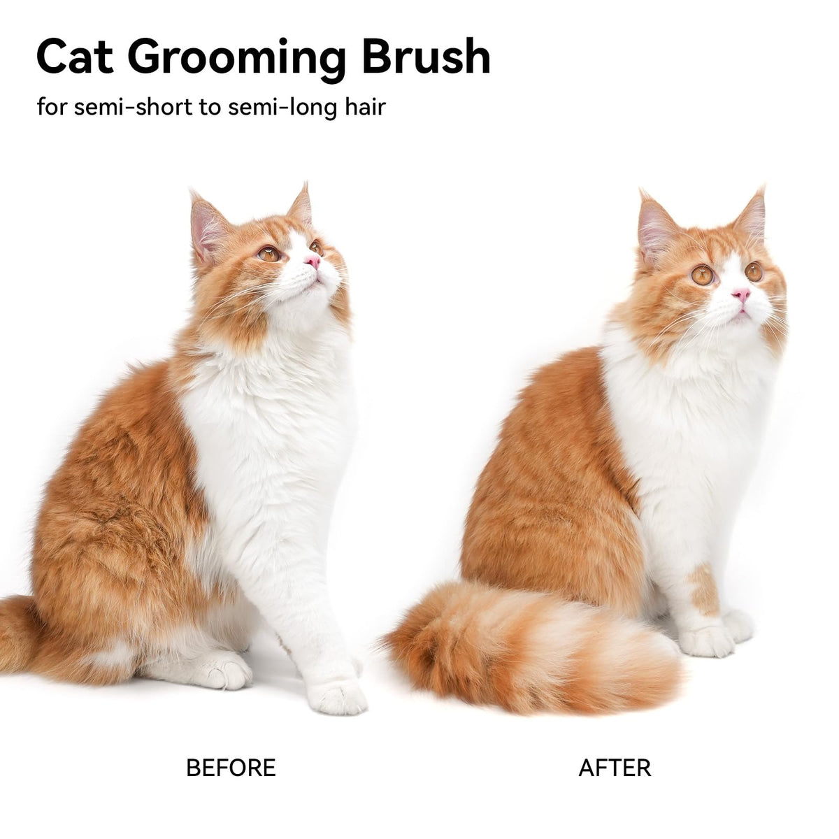 Aumuca Grooming Brush for Cats & Dogs — White